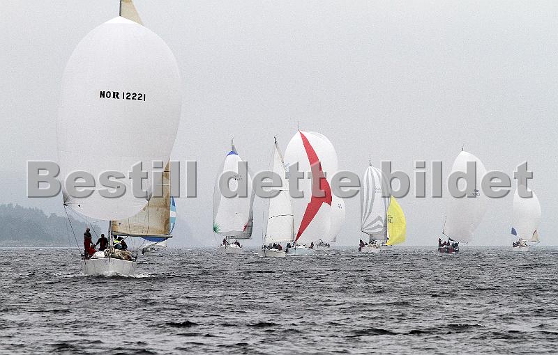 sailsport_no 245.jpg